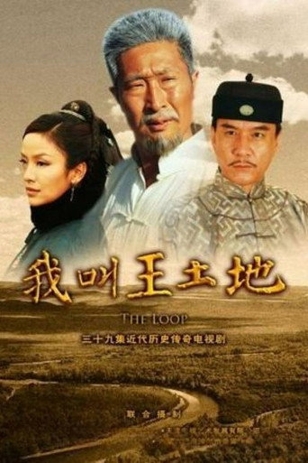我叫王土地海报