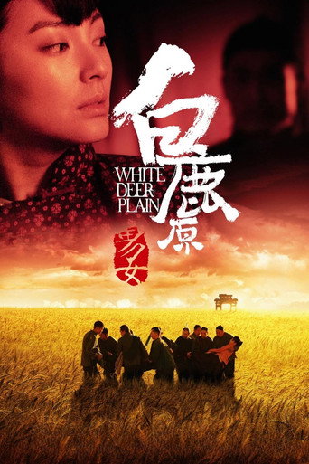 白鹿原海报