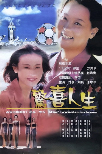惊喜人生海报