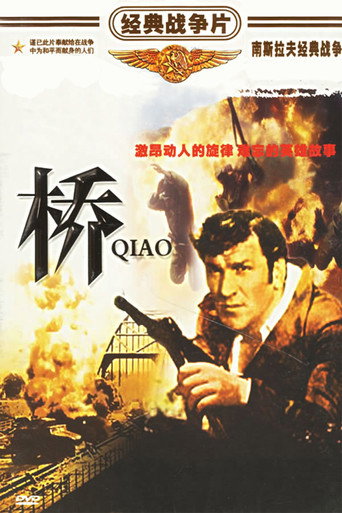 桥海报