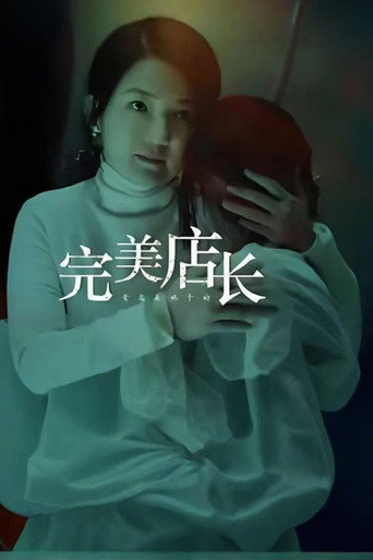 完美店长海报