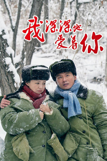 我深深地爱着你海报