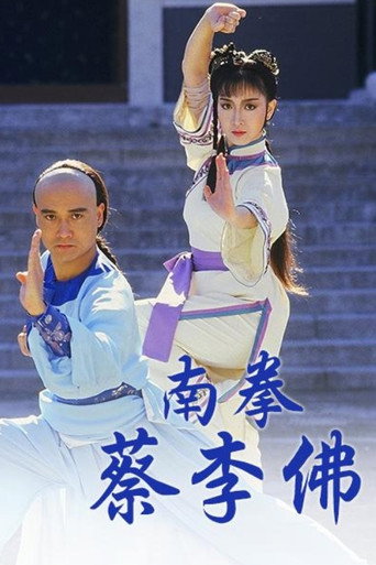 南拳蔡李佛海报