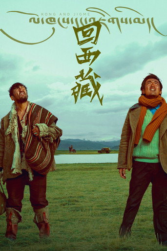 回西藏海报