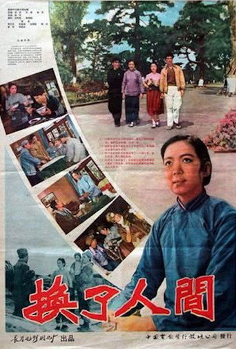 换了人间海报