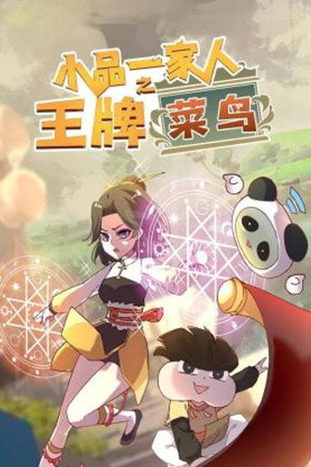小品一家人 王牌菜鸟海报