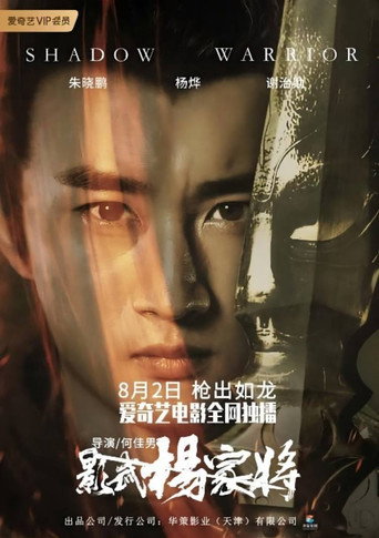 影武杨家将海报