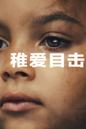 稚爱目击海报