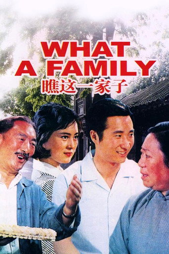 瞧这一家子海报