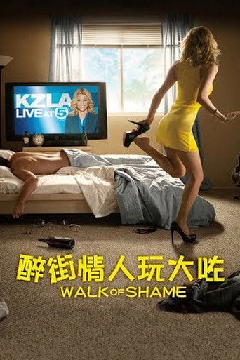 蒙羞之旅海报