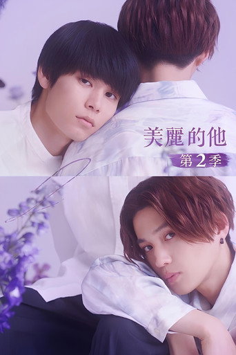 美丽的他 美丽的他2海报