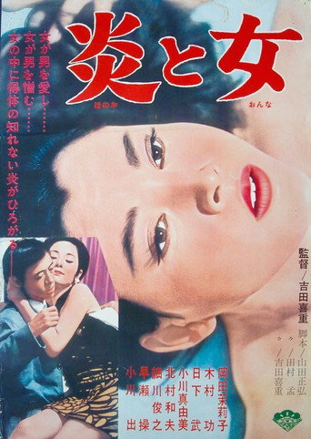 炎与女海报