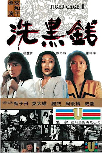 洗黑钱海报