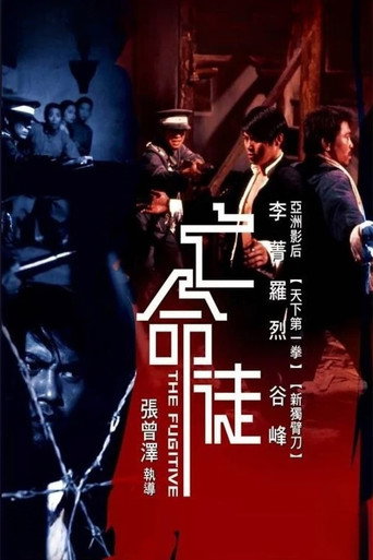 亡命徒海报