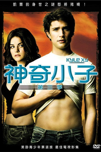 天赐 第 3 季海报