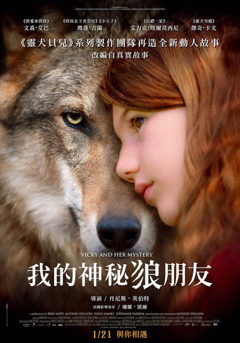 薇琪的秘密海报