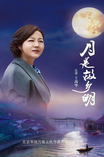 月是故乡明海报