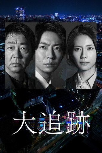 大追踪〜警视厅SSBC强行犯系〜海报