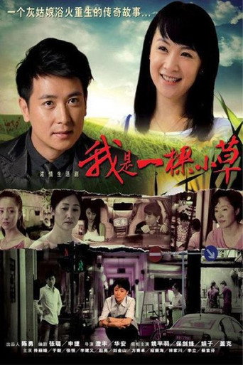 我是一棵小草海报