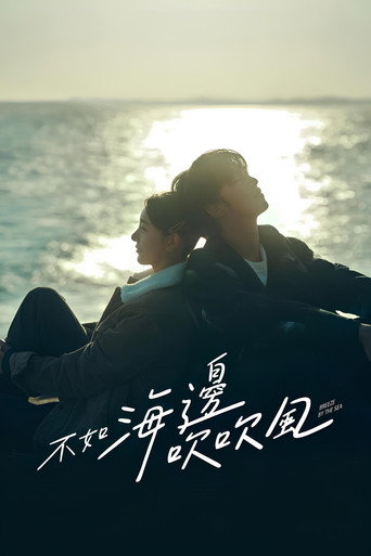 不如海边吹吹风海报
