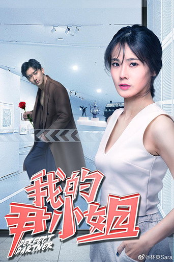 我的尹小姐海报