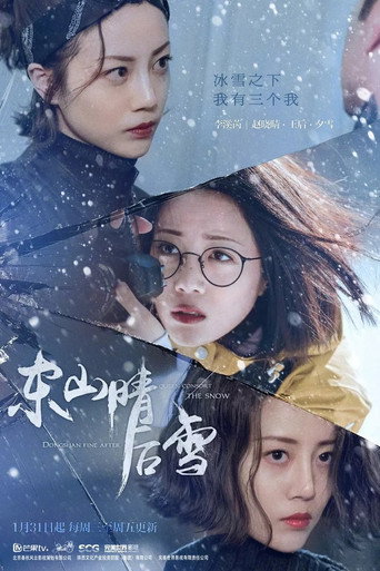 东山晴后雪海报