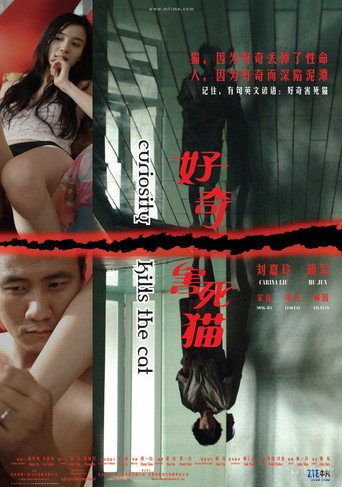 好奇害死猫海报