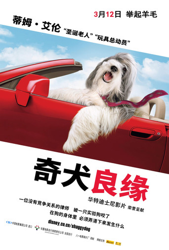 长毛狗海报