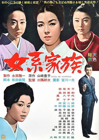 女系家族海报