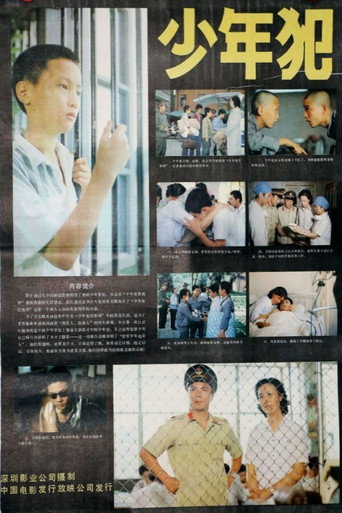 少年犯海报
