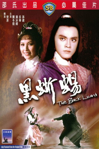 黑蜥蜴海报