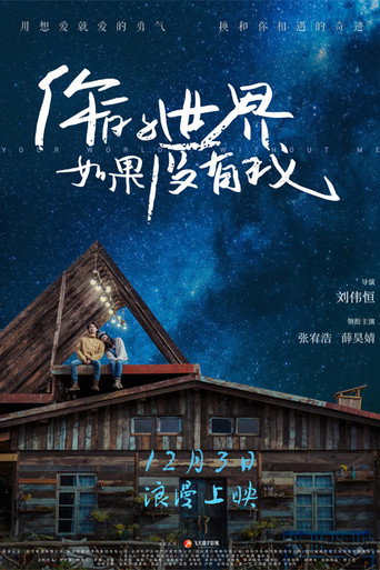 你的世界如果没有我海报