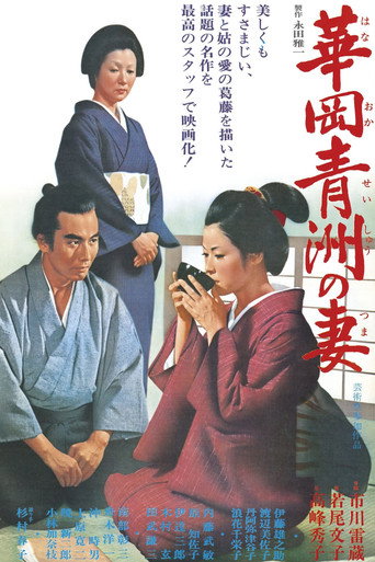 华岗青洲之妻海报