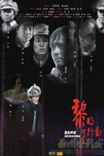 黎明行动海报