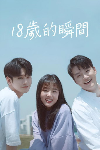 十八岁的瞬间海报