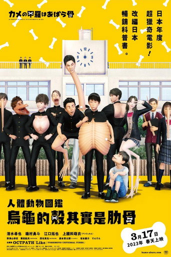 乌龟的壳其实是肋骨海报