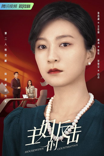 主妇的反击海报