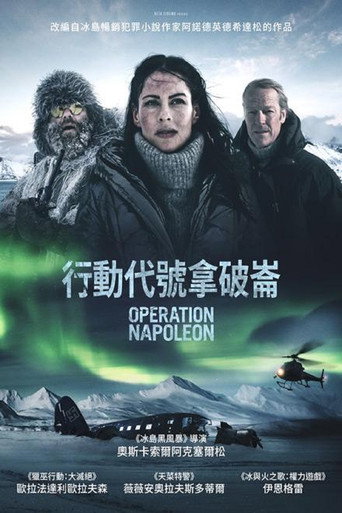 拿破仑行动海报