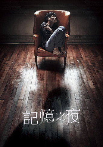 记忆之夜海报