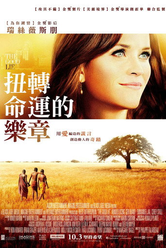 美丽谎言海报