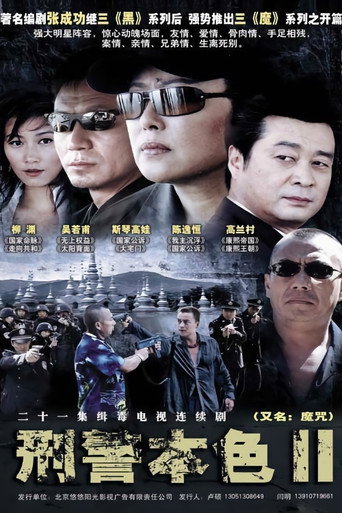 刑警本色 第 2 季海报