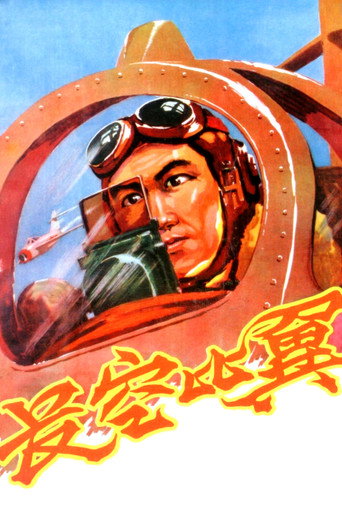 长空比翼海报