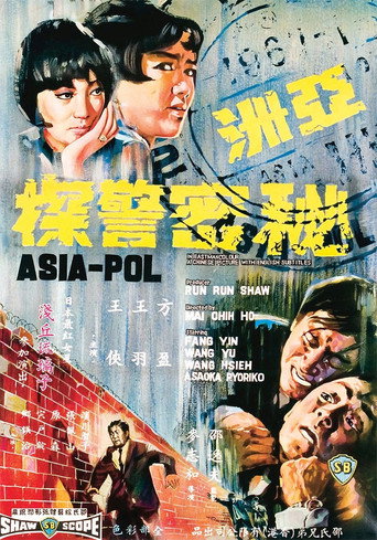 亚洲秘密警探海报