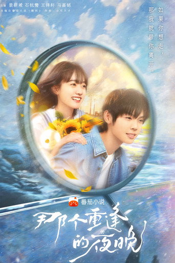 那个重逢的夜晚海报