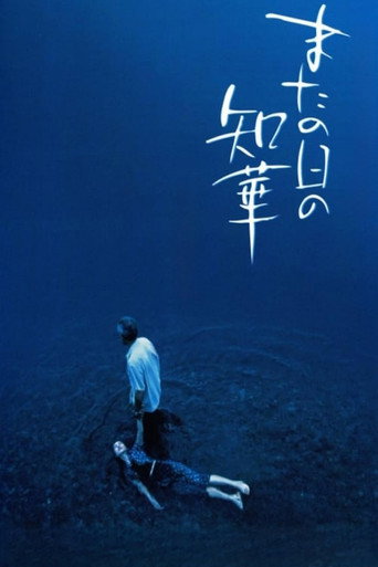 来日知华海报