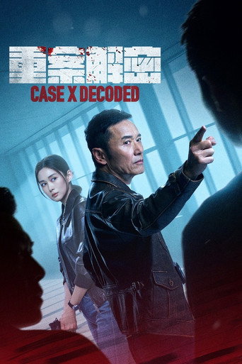 重案解密海报