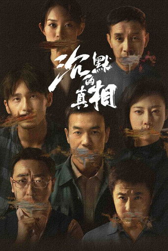 沉默的真相海报