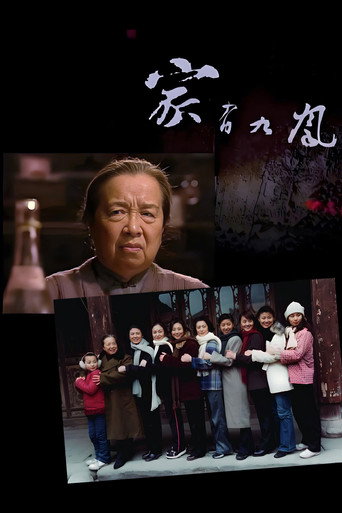 家有九凤海报