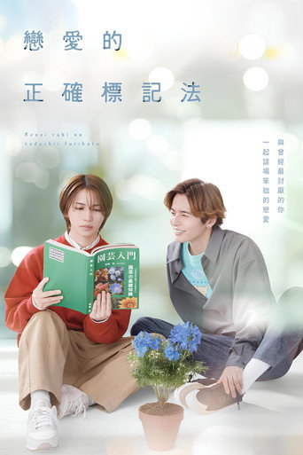 恋爱的正确标记法海报