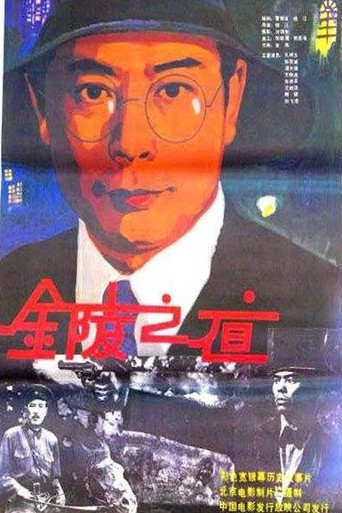 金陵之夜海报